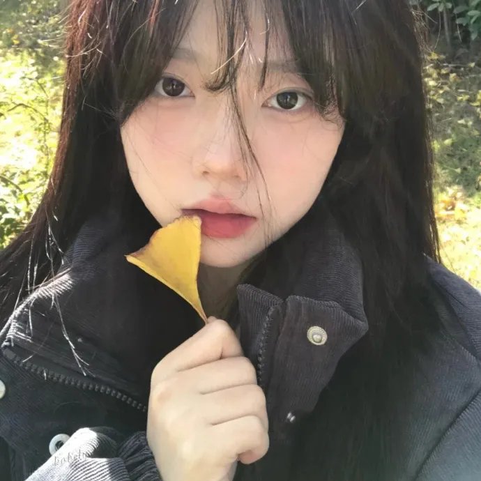 大鲨鱼